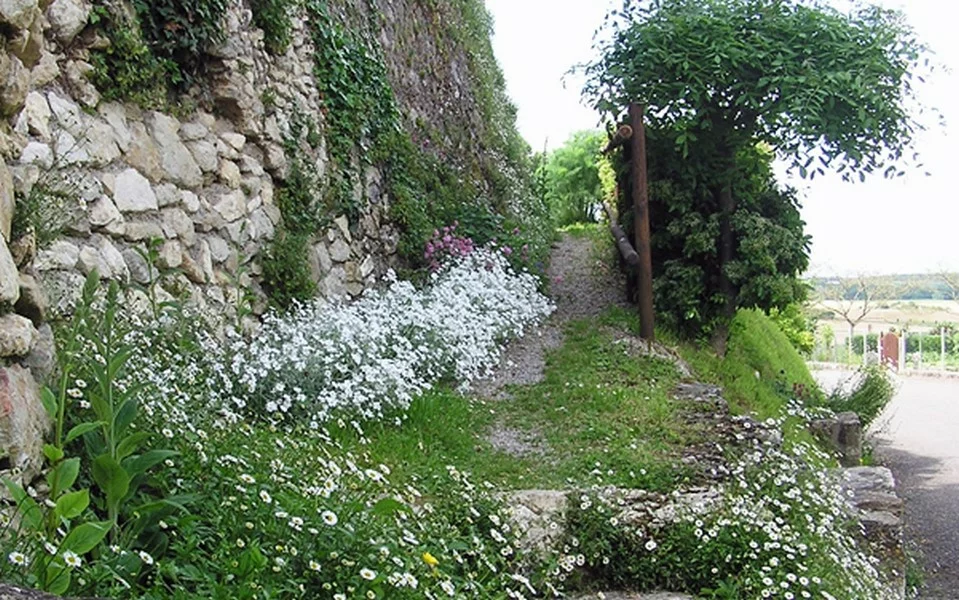 ORDAN-LARROQUE