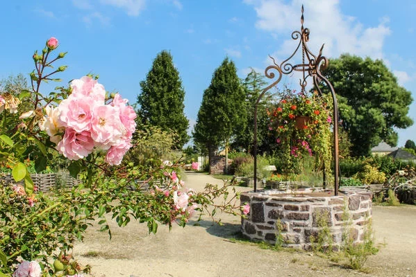 BÉDÉE