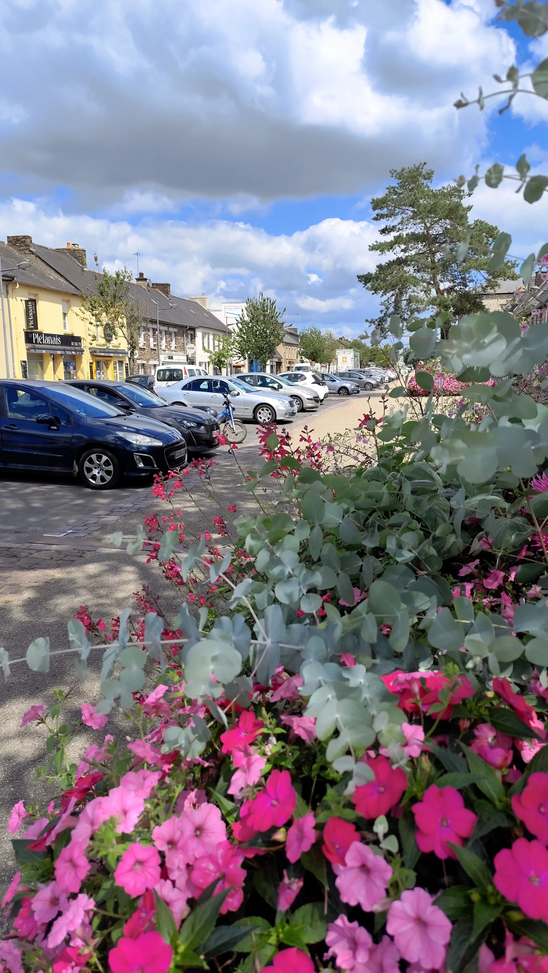 PLÉLAN-LE-GRAND