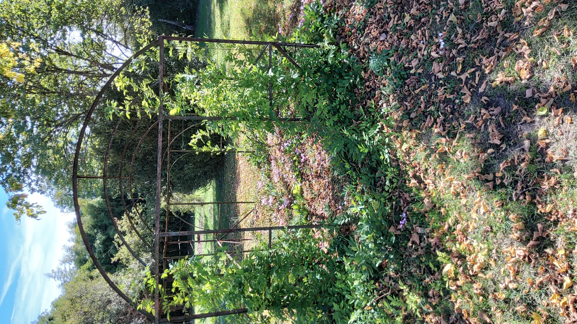 CHATILLON SUR INDRE