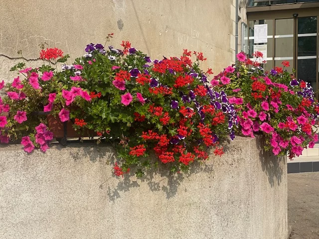 ARTANNES-SUR-INDRE
