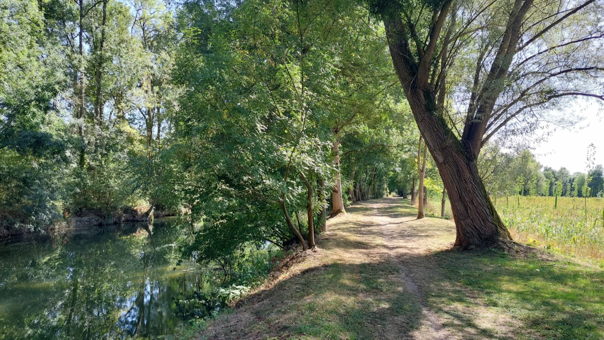 BEAULIEU-LÈS-LOCHES