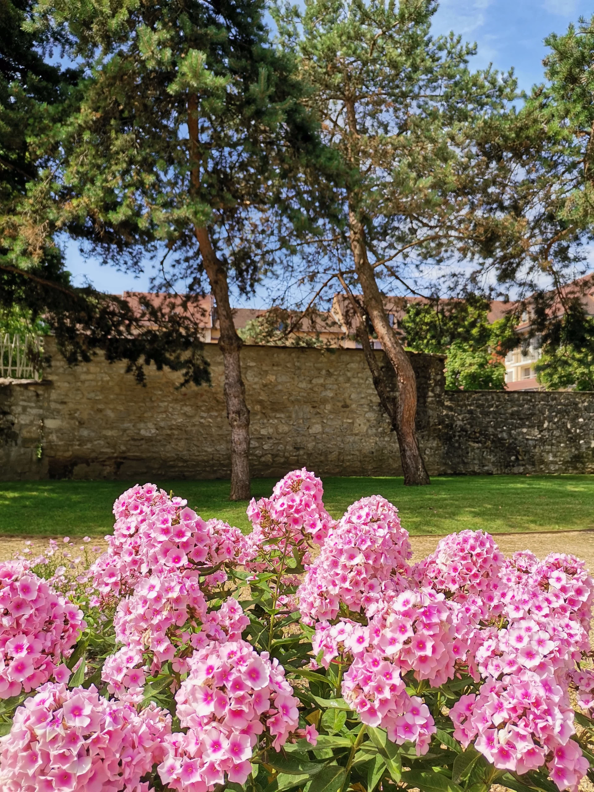 MORESTEL