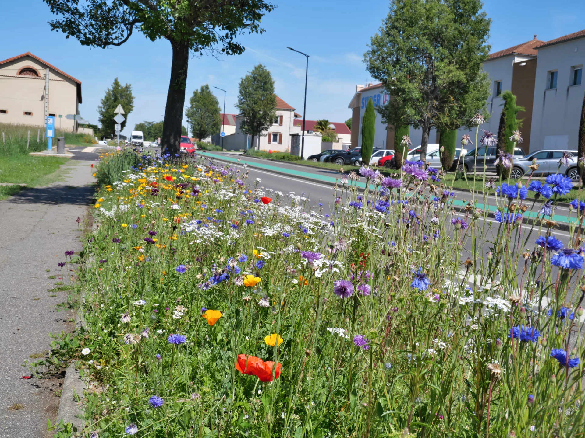 SURY-LE-COMTAL