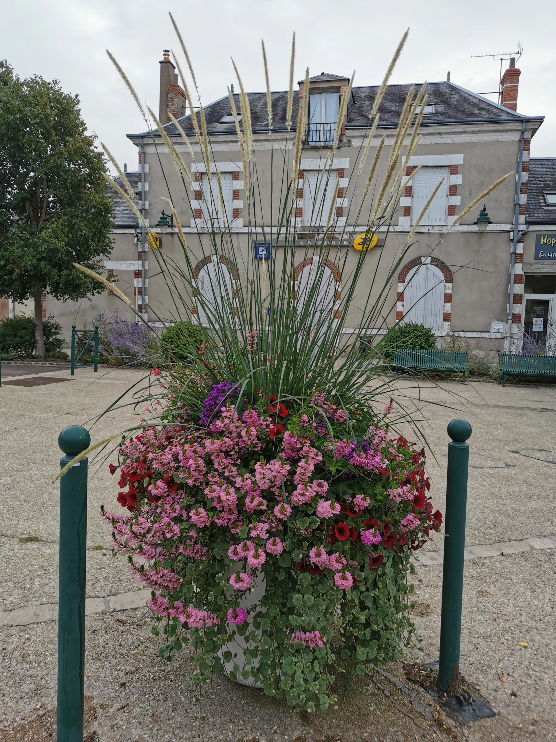 SANDILLON