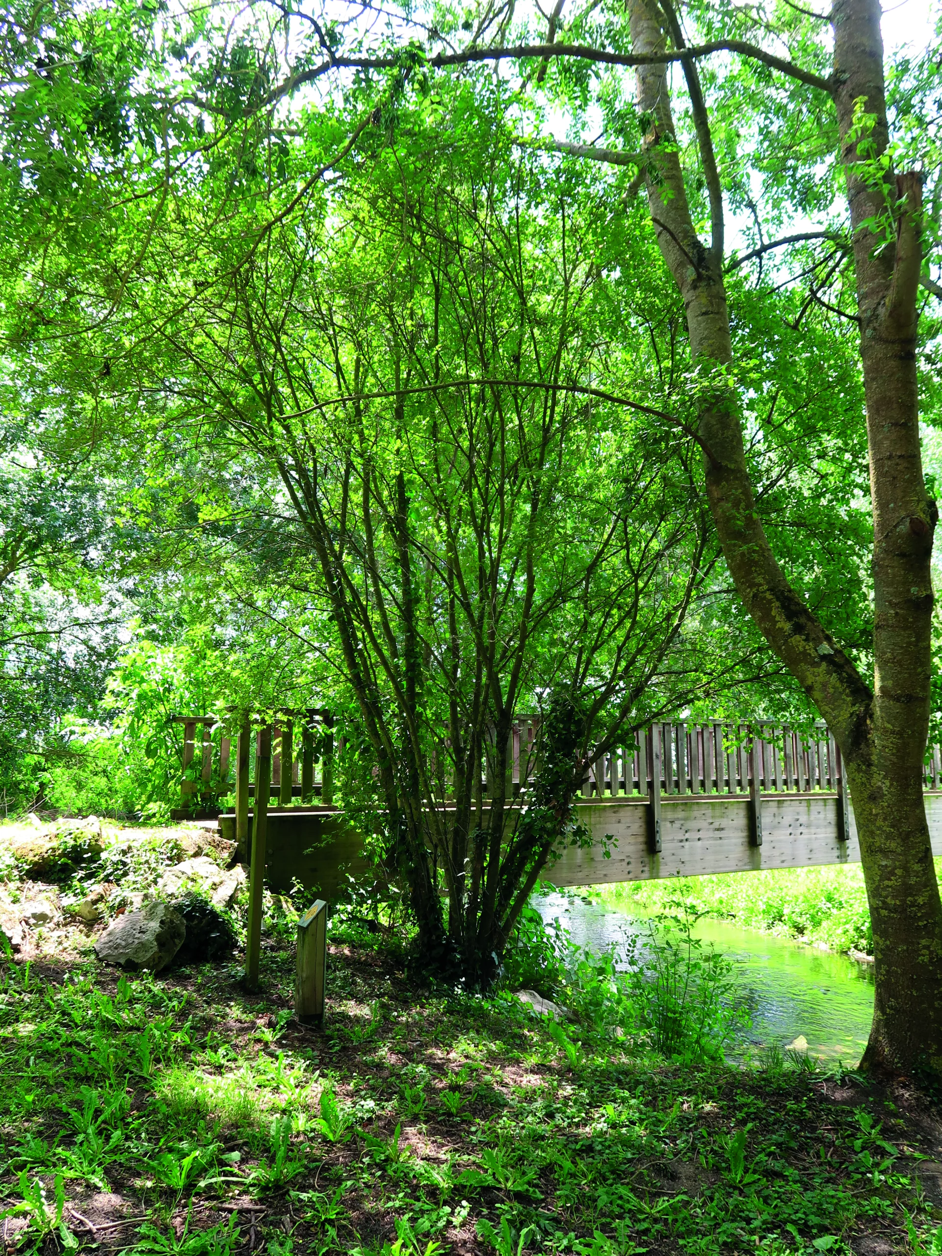 BEAUFORT-EN-ANJOU