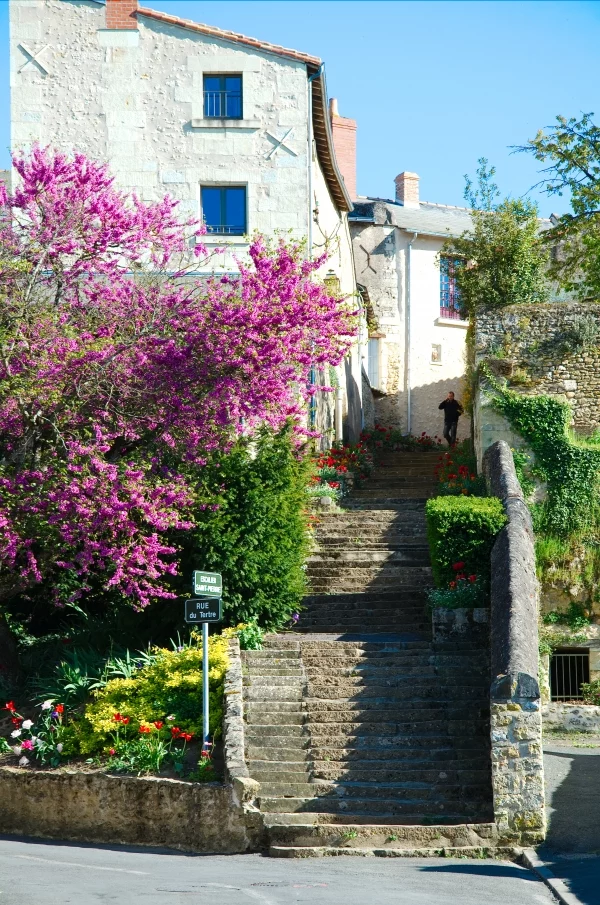 MONTREUIL-BELLAY