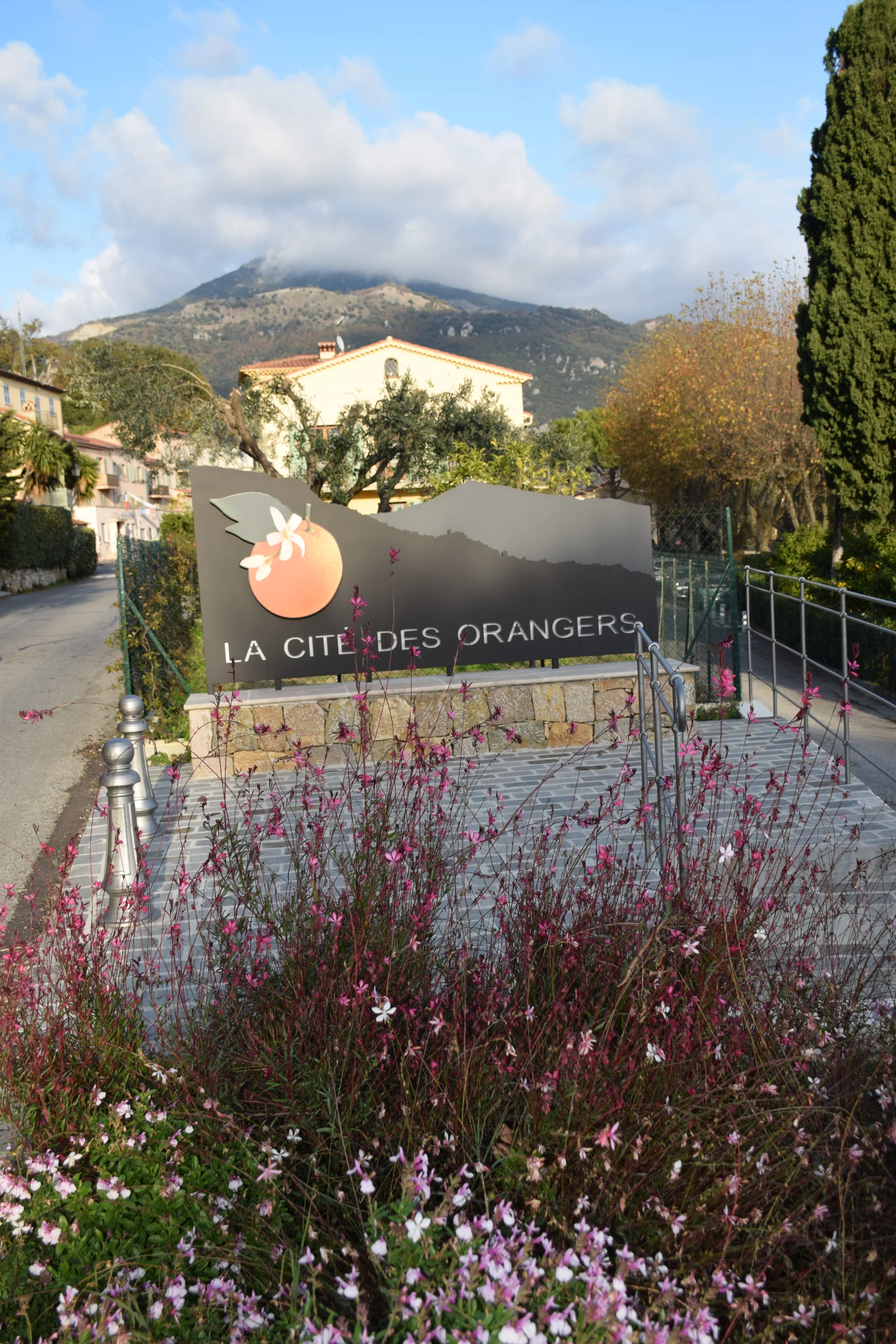 LE BAR SUR LOUP