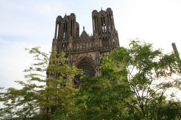 REIMS