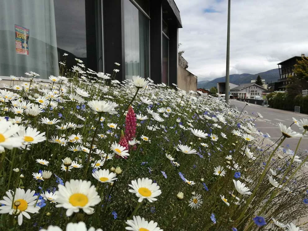 SAINT-LARY-SOULAN