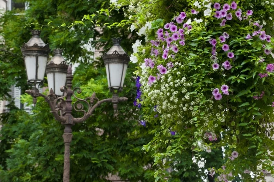 STRASBOURG