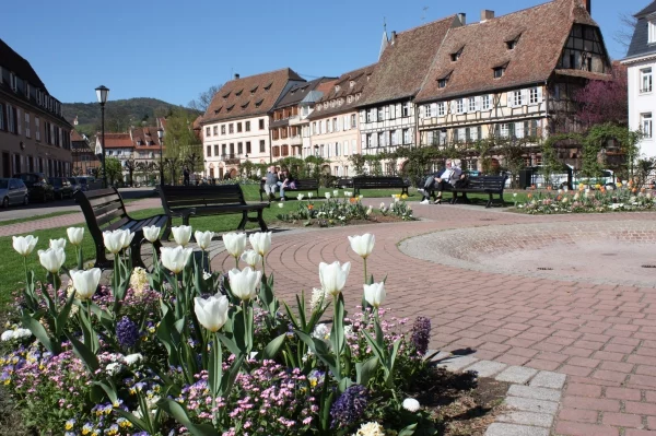 WISSEMBOURG