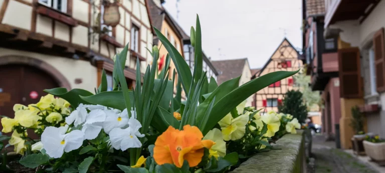 EGUISHEIM