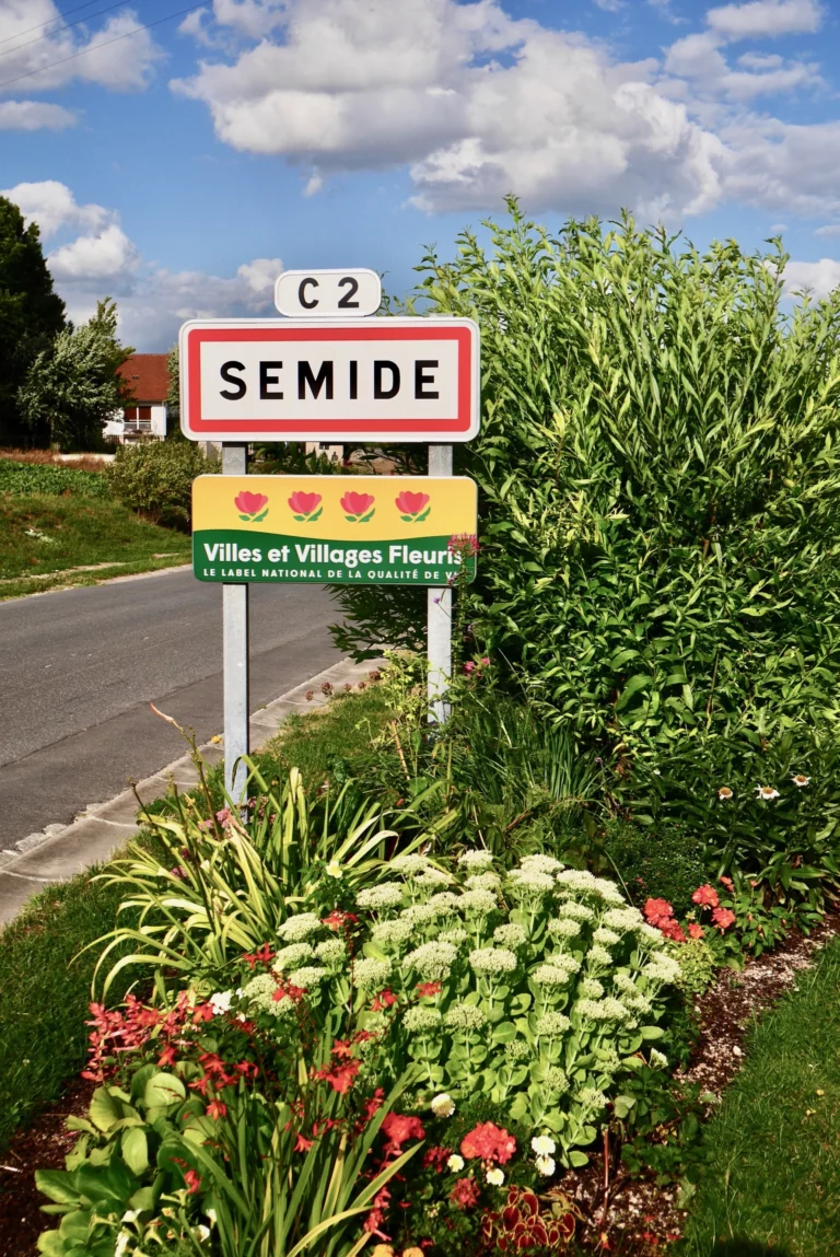 SEMIDE