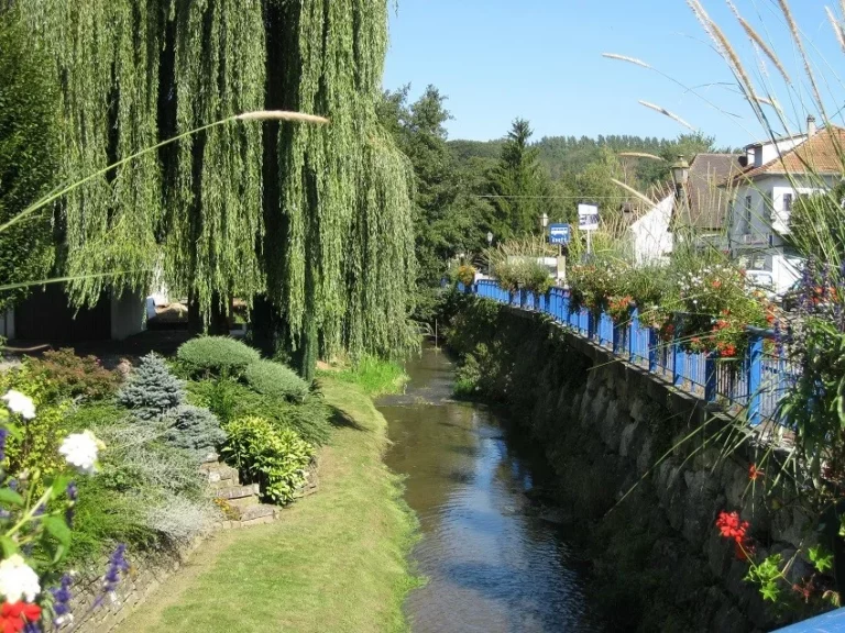 HIRSINGUE