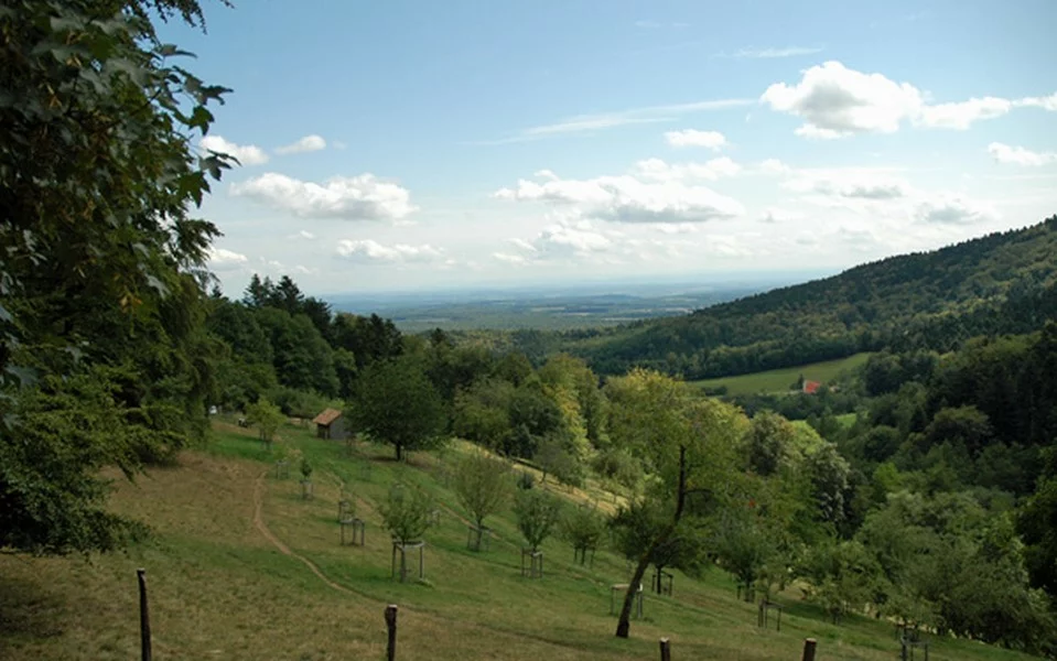 MASEVAUX-NIEDERBRUCK
