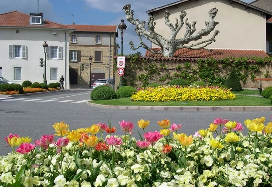 CHAPONNAY