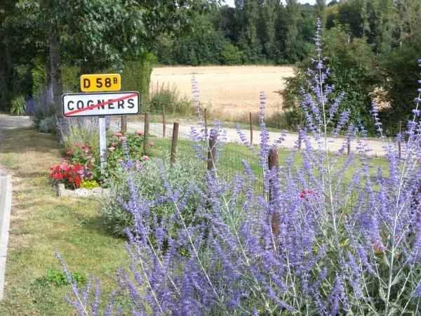COGNERS