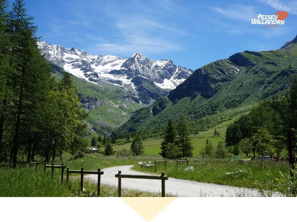 PEISEY-NANCROIX