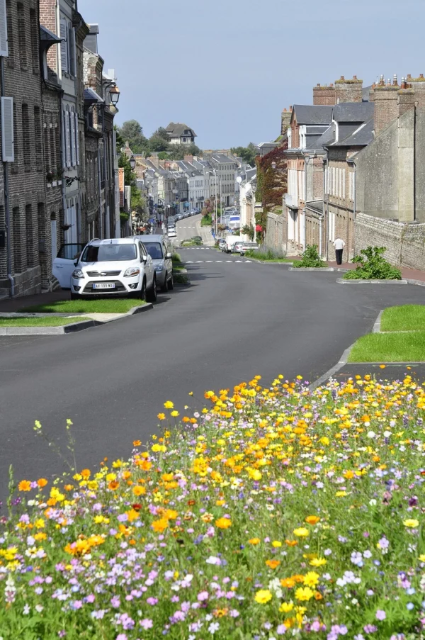 SAINT-VALERY-EN-CAUX
