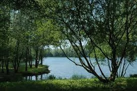 BOUVAINCOURT-SUR-BRESLE