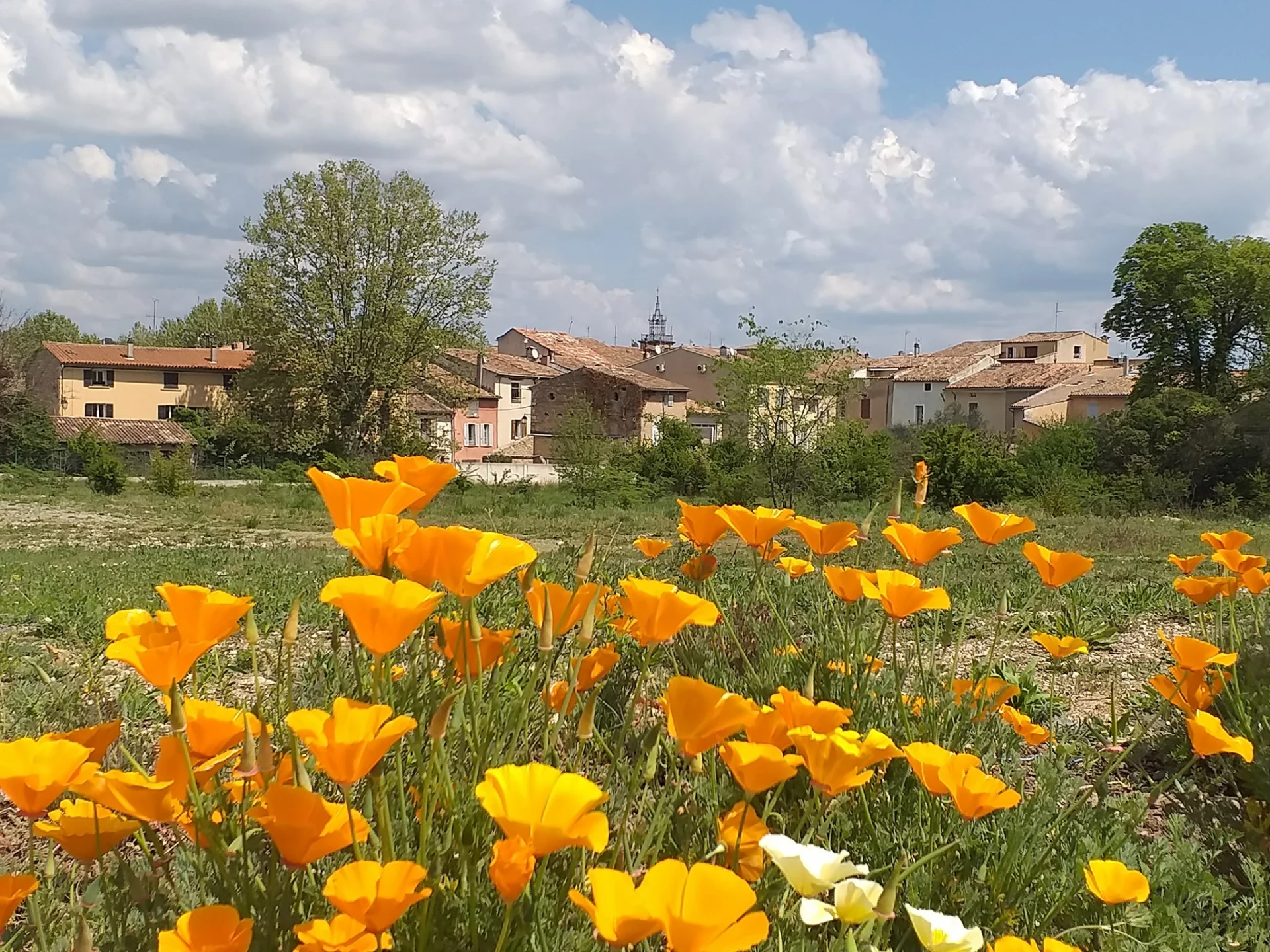 LE VAL