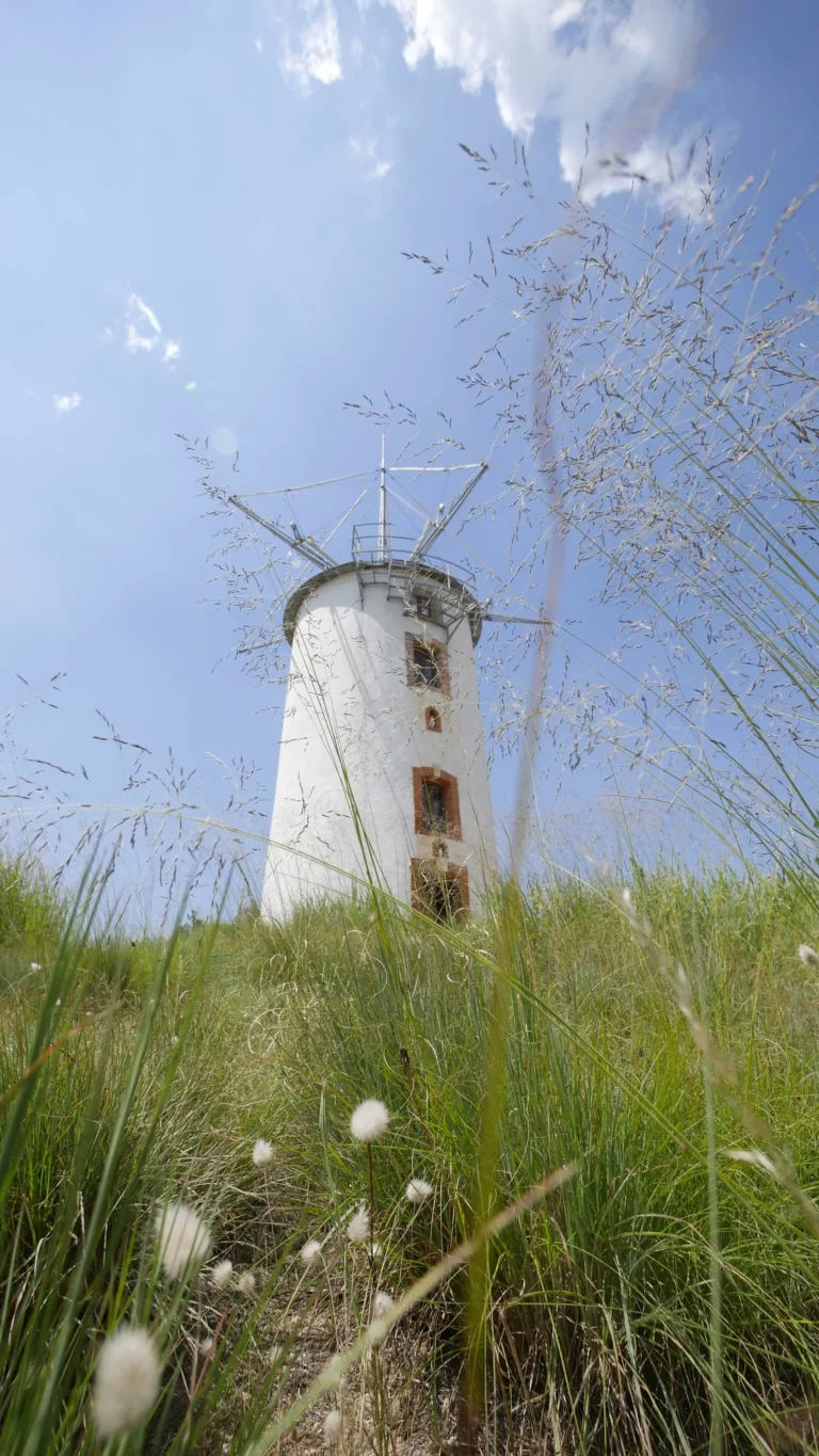 NOTRE-DAME-DE-MONTS