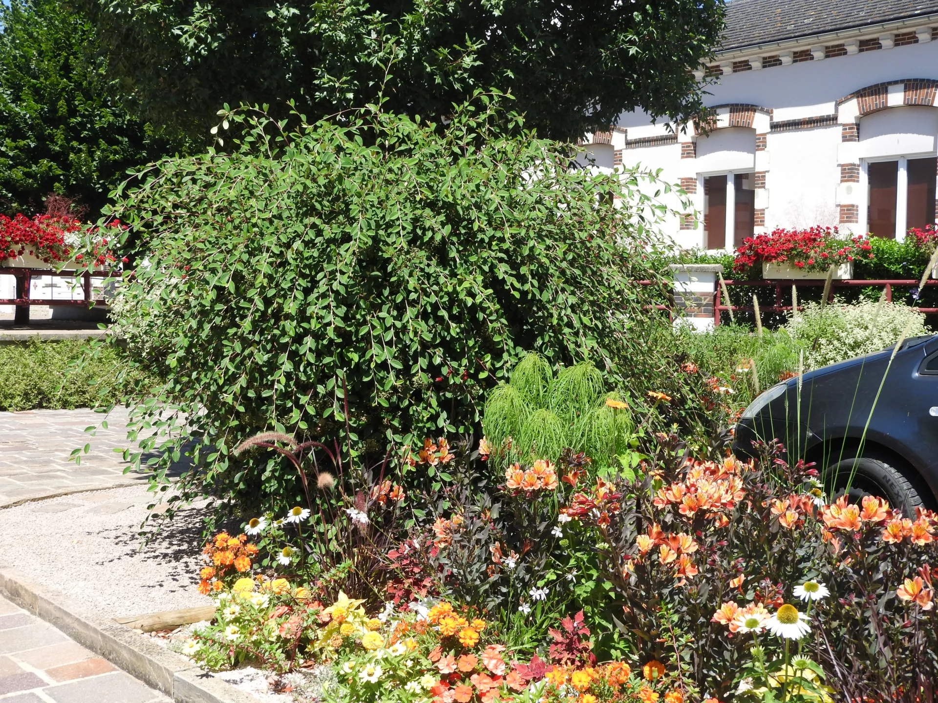 MIGENNES