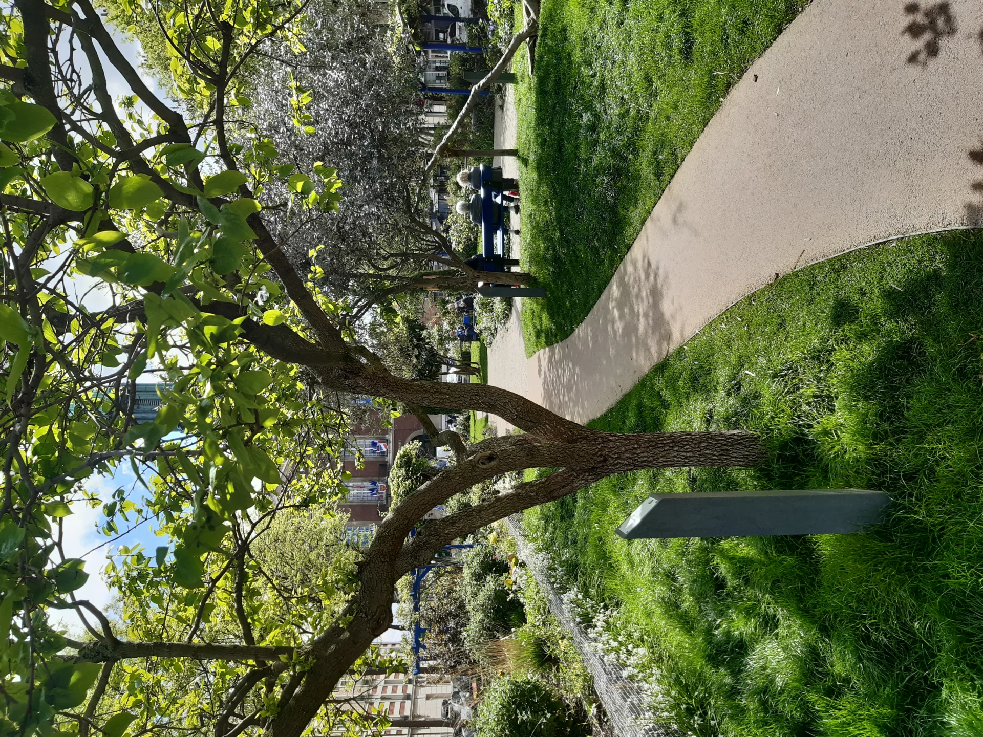 BOIS-COLOMBES