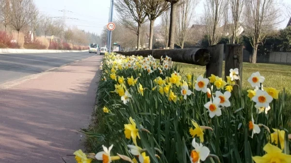 CLAMART
