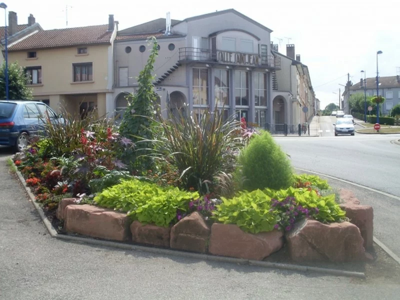 CHATEAU-SALINS