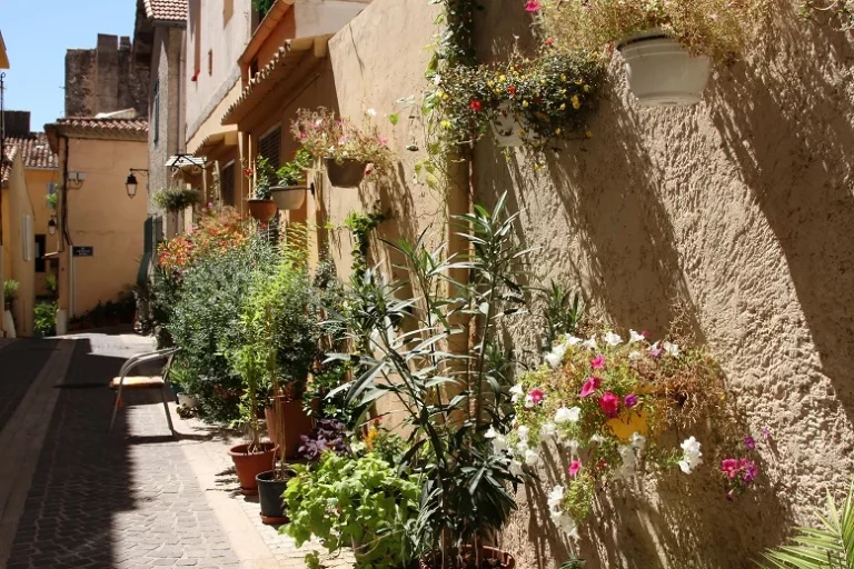 CASSIS