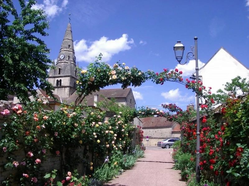 SAVIGNY-LES-BEAUNE