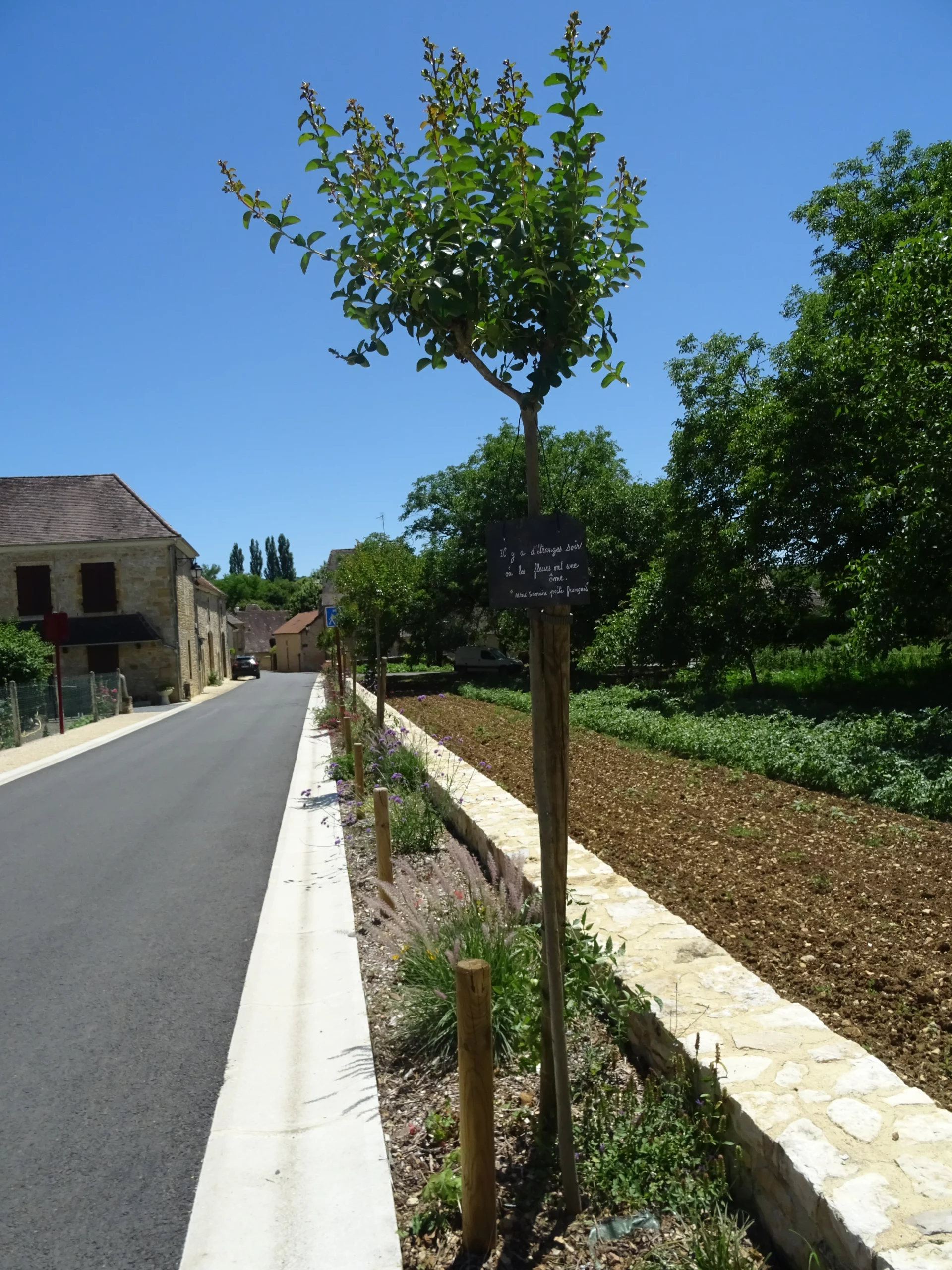 SAINT-MARTIAL-D&rsquo;ALBAREDE