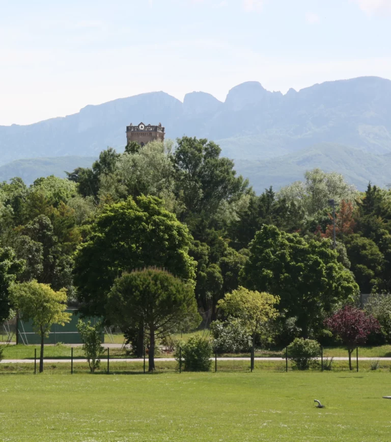 MONTELIER