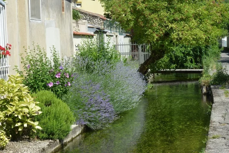 VALENCE